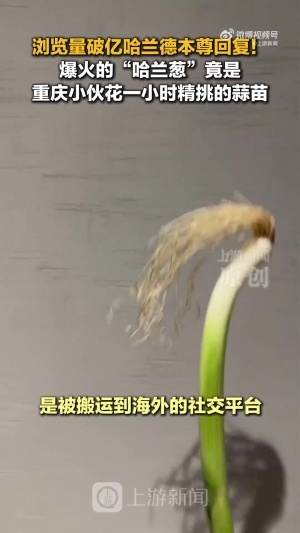 法国vs西班牙直播_世界杯法国vs西班牙在线观看无插件_法国vs西班牙超清在线直播